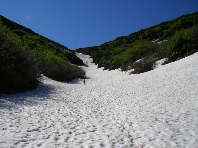 羅臼雪渓