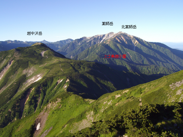 越中沢岳への道