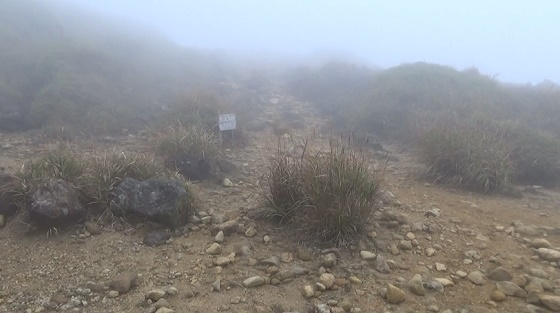 �v�Z����