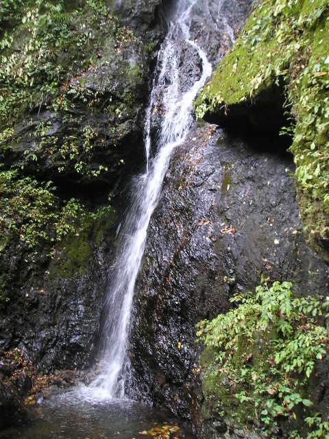 白藤の滝