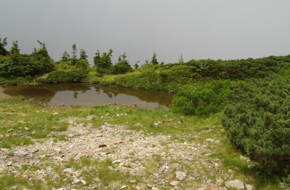 間山池